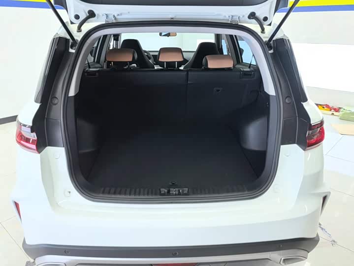 Geely Okavango Pro, 2024 — фото 4 из 9