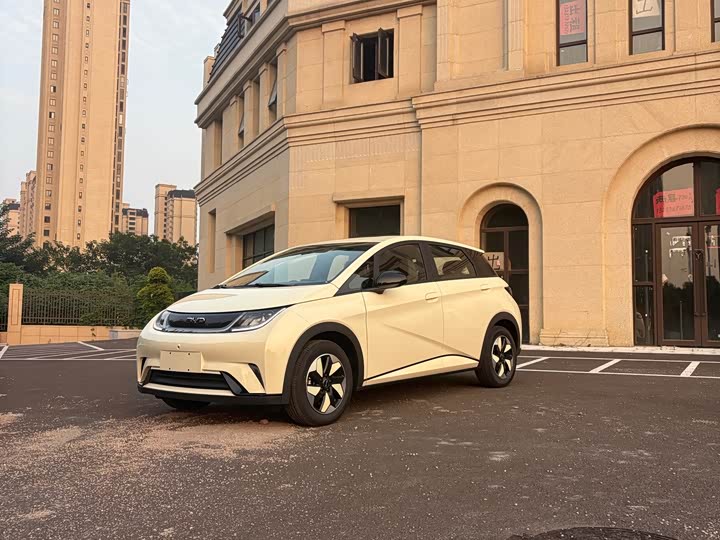 BYD Dolphin, 2026 — купить в Тамбове под ключ