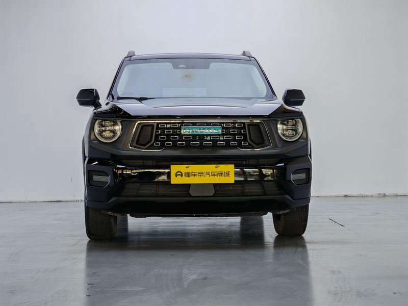 Haval H-Dog Hybrid, 2023 — фото 2 из 12