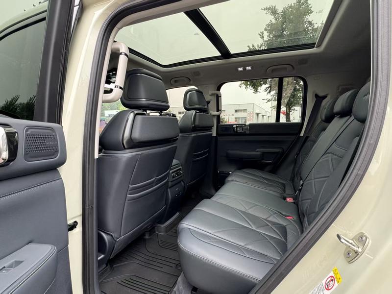 BYD FangChengBao Leopard 5, 2025 — фото 10 из 11