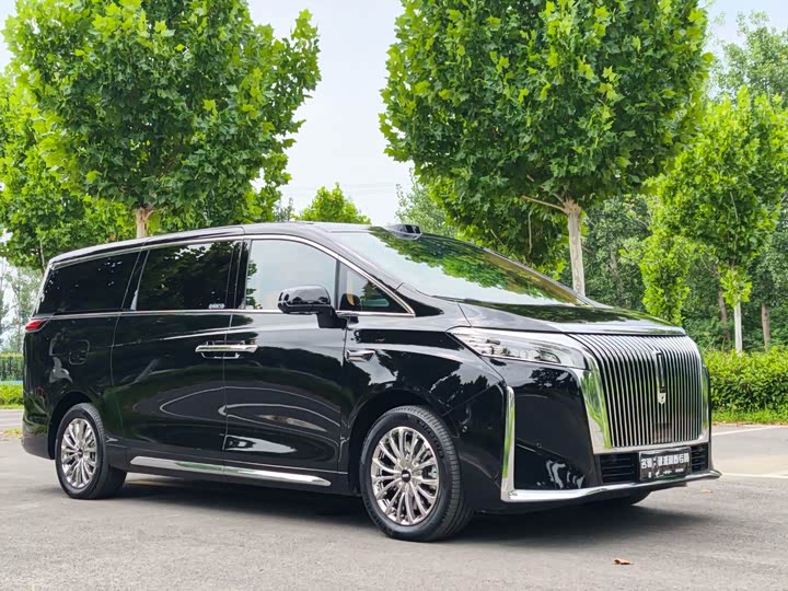 Wey 80 Hybrid, 2025 — фото 3 из 9
