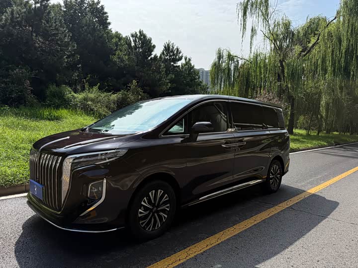 Hongqi HQ9 Hybrid, 2024 — купить в Санкт-Петербурге под ключ