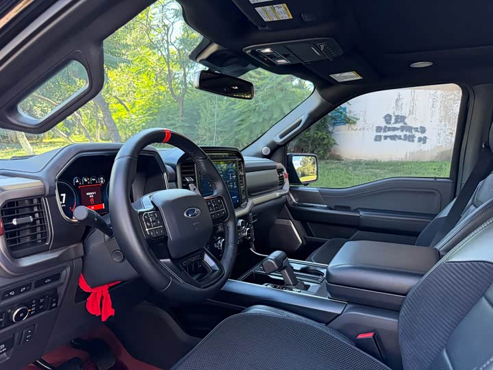 Ford F-150 Raptor, 2024 — фото 6 из 9