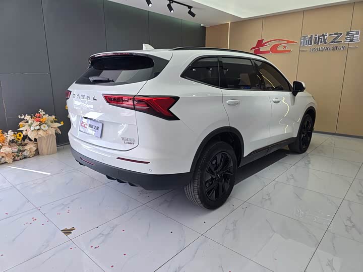 Haval H6, 2024 — фото 6 из 9