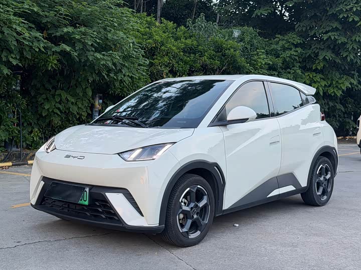 BYD Seagull, 2023 — купить в Курске под ключ