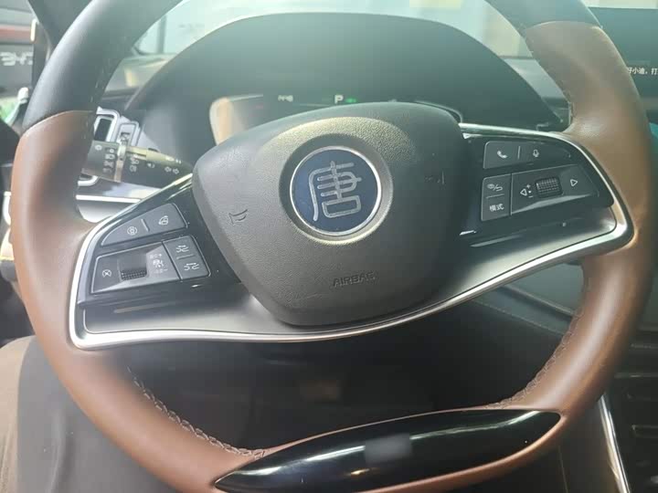 BYD Tang Hybrid/EV, 2021 — фото 7 из 9