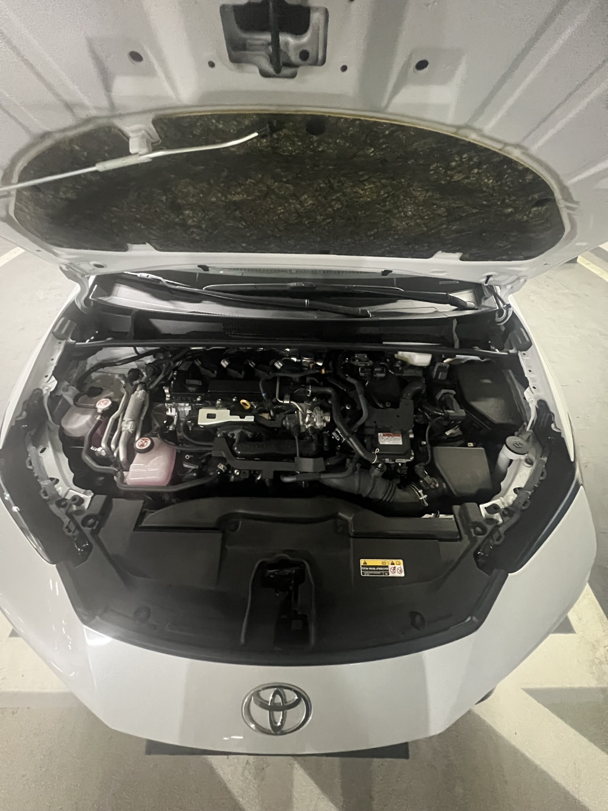 Toyota Prius, 2023 — фото 5 из 8