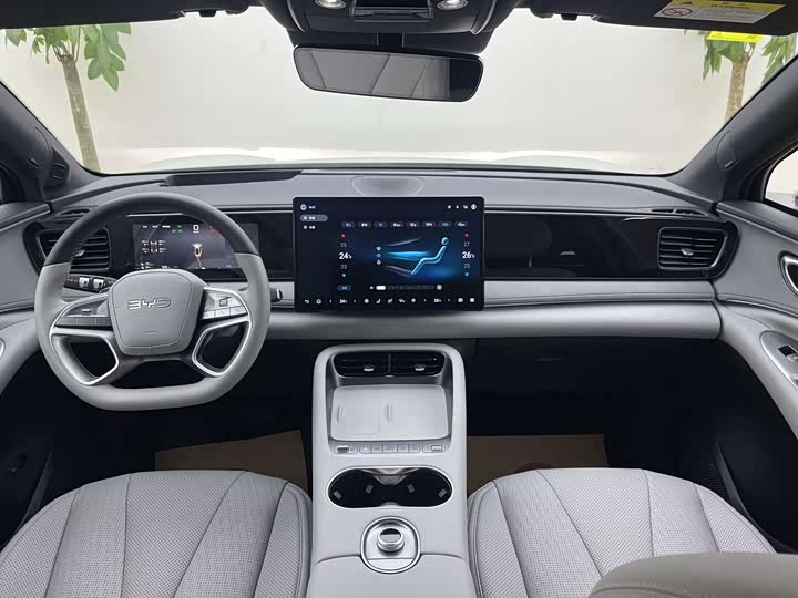 BYD Sea Lion 06 Hybrid/EV, 2025 — фото 6 из 9