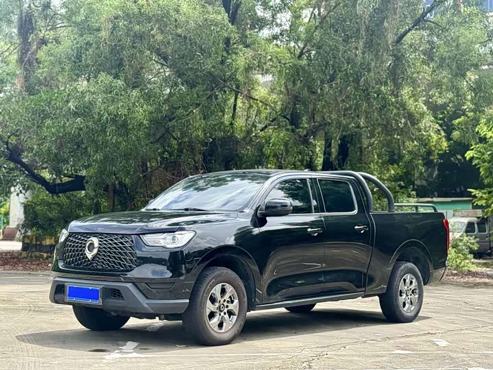 Great Wall Pao, 2022 — купить в Санкт-Петербурге под ключ