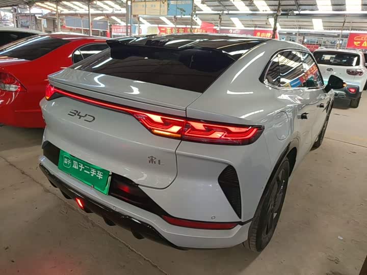 BYD Song L, 2023 — фото 7 из 9