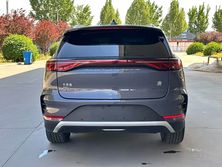 BYD Tang Hybrid/EV, 2023 — фото 7 из 9