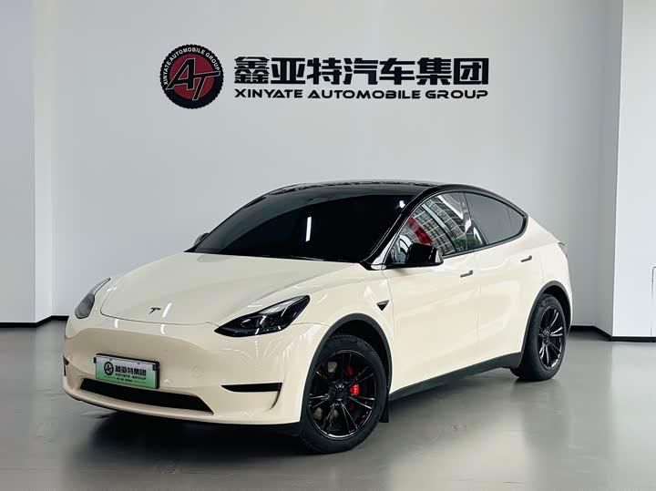 Tesla Model Y, 2022 — фото 2 из 9