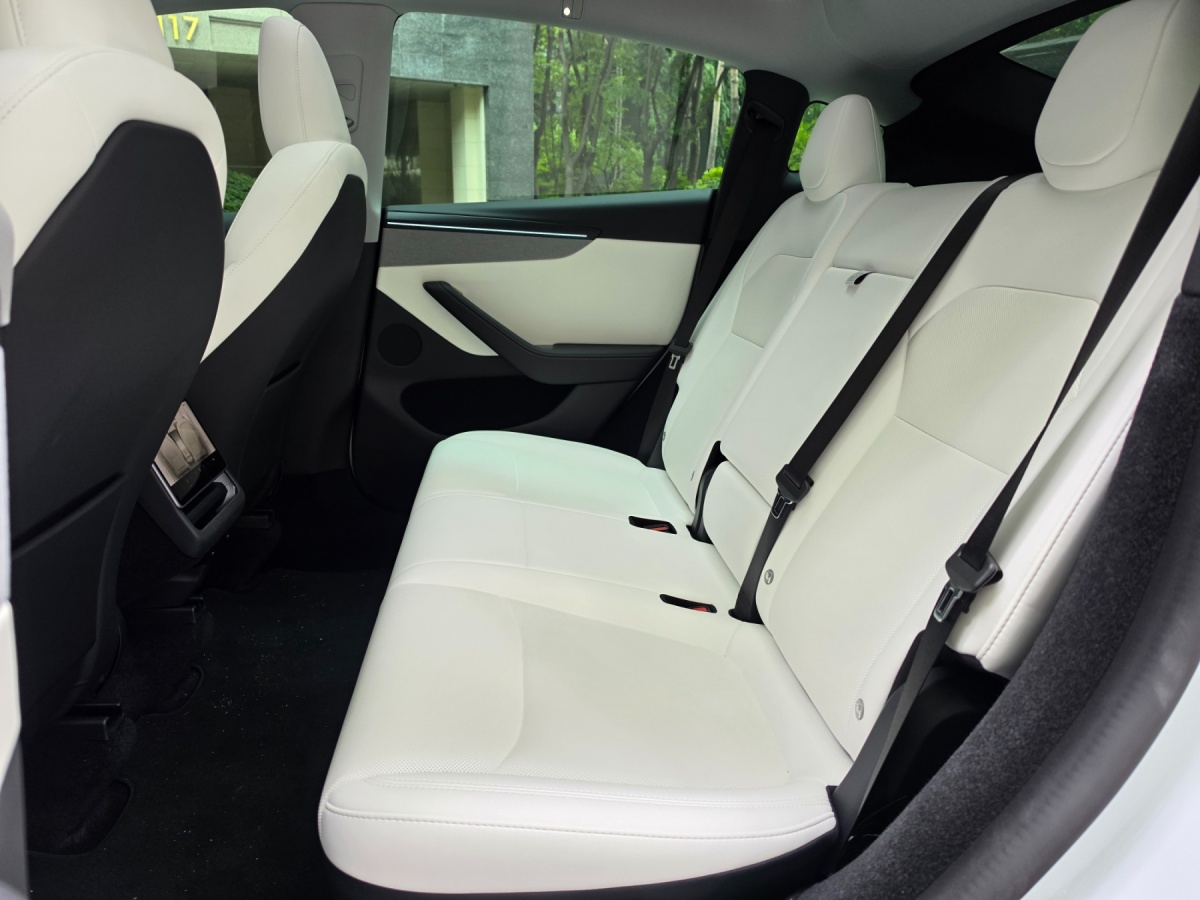 Tesla Model Y, 2025 — фото 9 из 12