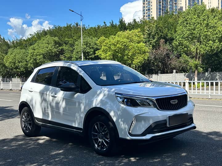 Geely Vision X3, 2021 — фото 3 из 12