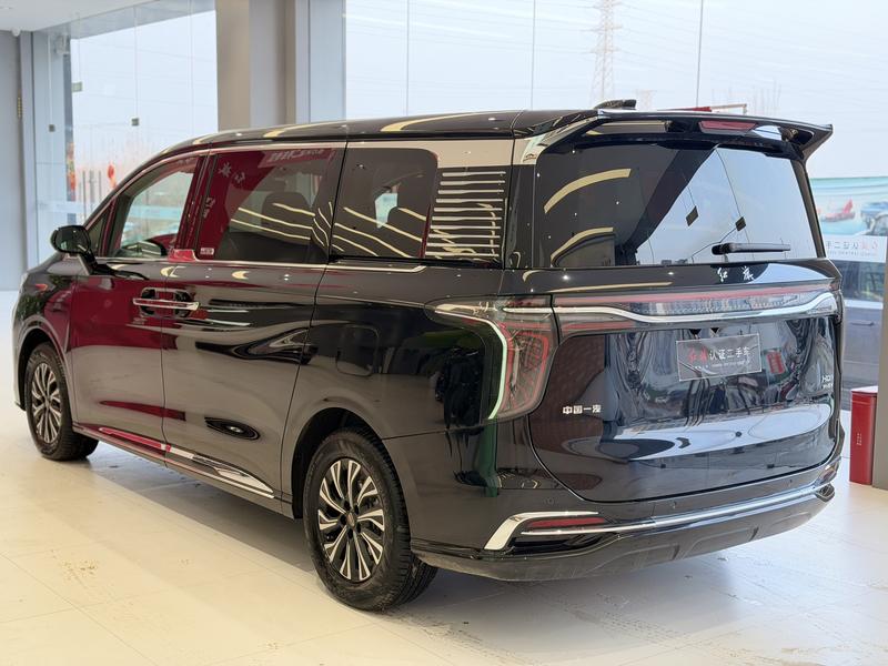 Hongqi HQ9 Hybrid, 2024 — фото 4 из 12