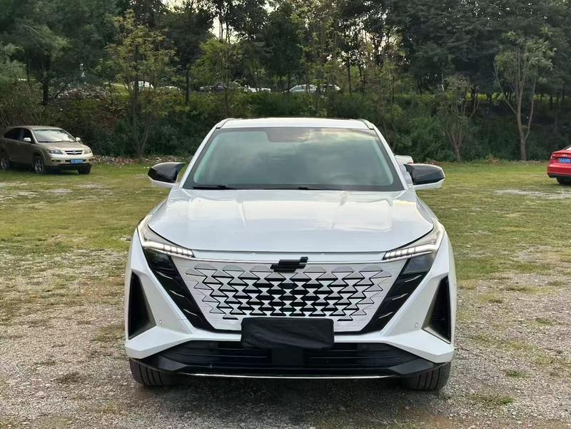 Changan Oshan Z6, 2023 — фото 2 из 10