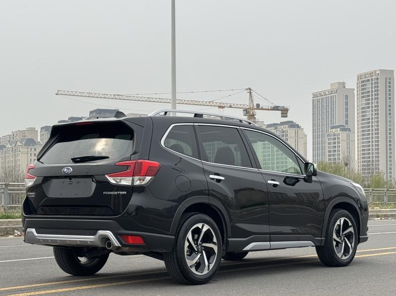 Subaru Forester, 2023 — фото 7 из 12