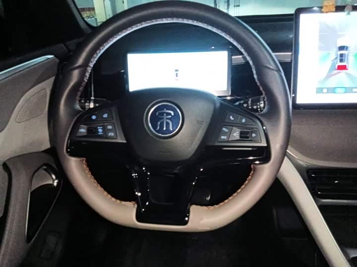 BYD Song Pro Hybrid, 2024 — фото 6 из 9