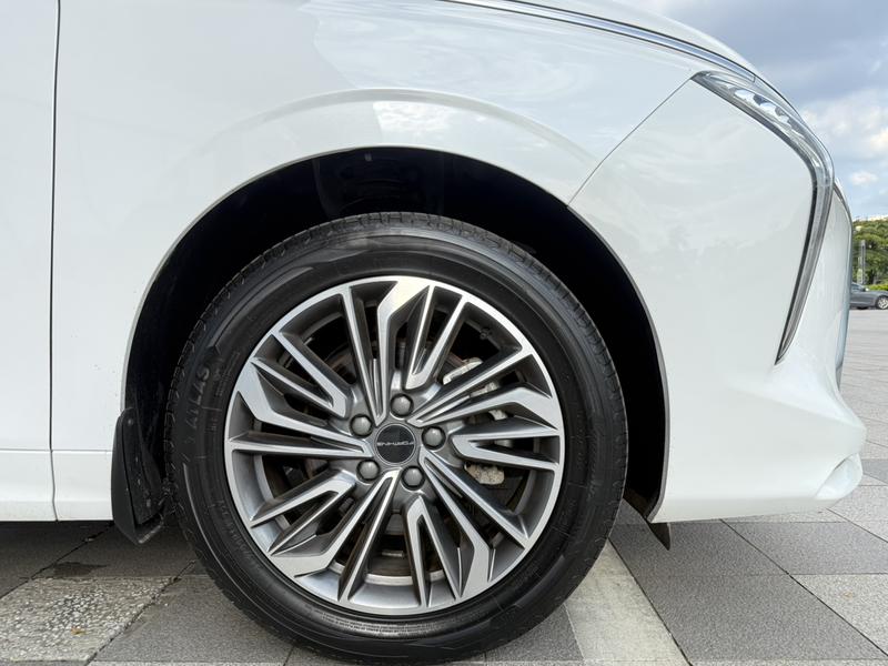 Dongfeng Forthing Yacht, 2024 — фото 11 из 12