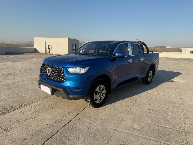 Great Wall Pao, 2021 — купить в Рязани под ключ