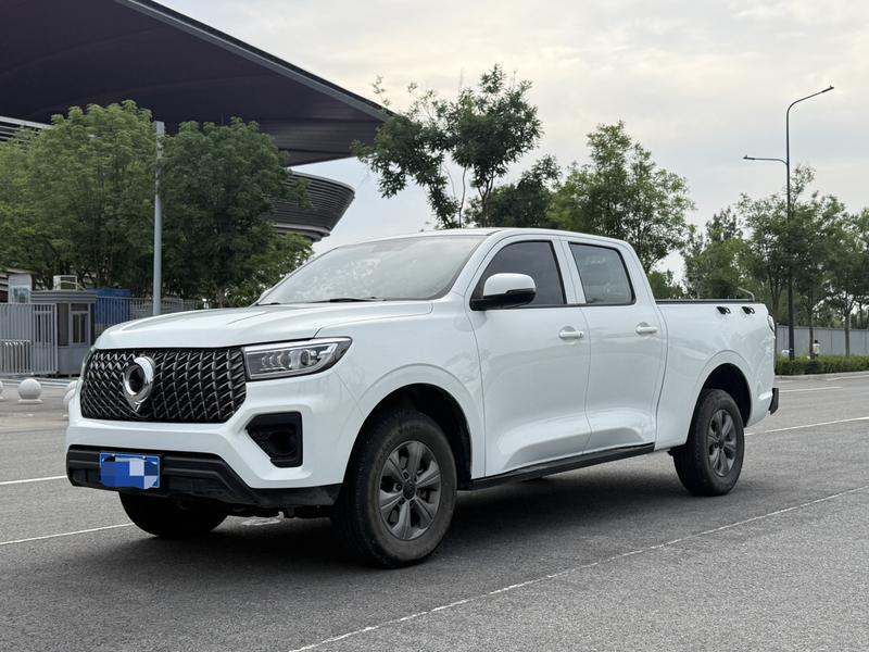 Great Wall Pao, 2025 — купить в Казани под ключ
