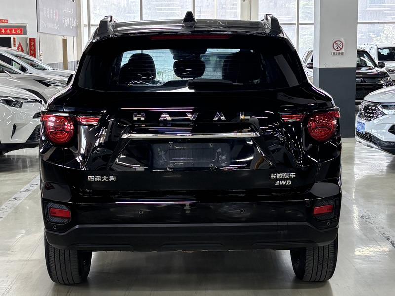 Haval H-Dog, 2023 — фото 5 из 12