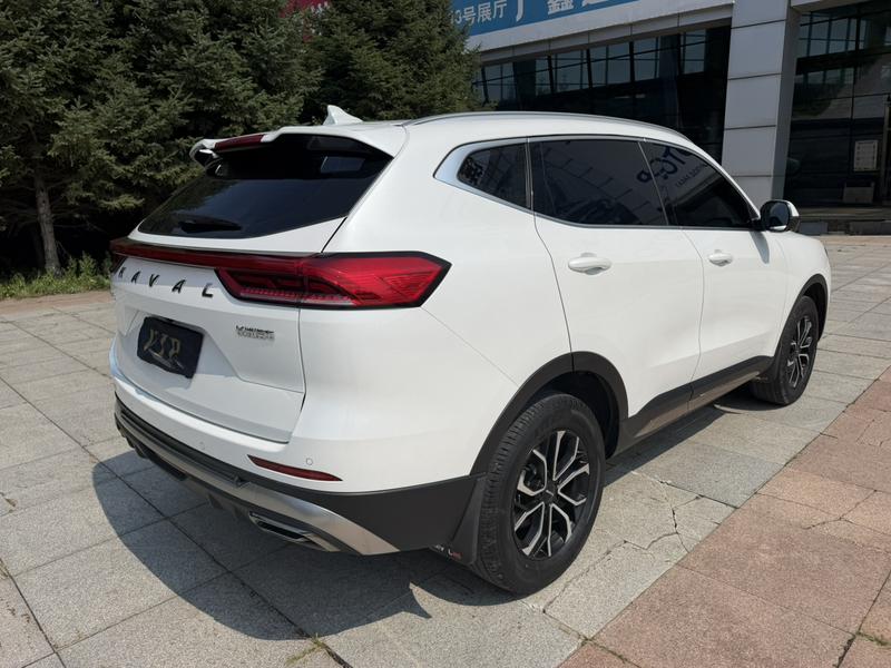 Haval H6, 2023 — фото 6 из 12
