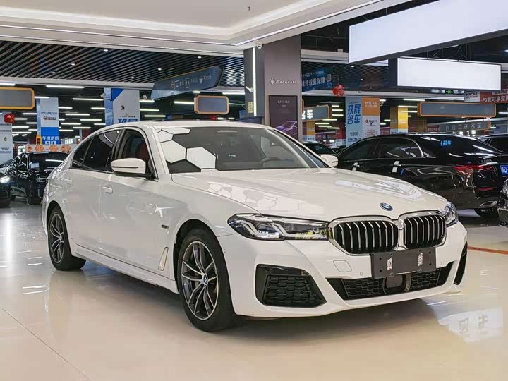 BMW 5 Series Hybrid, 2022 — фото 3 из 9