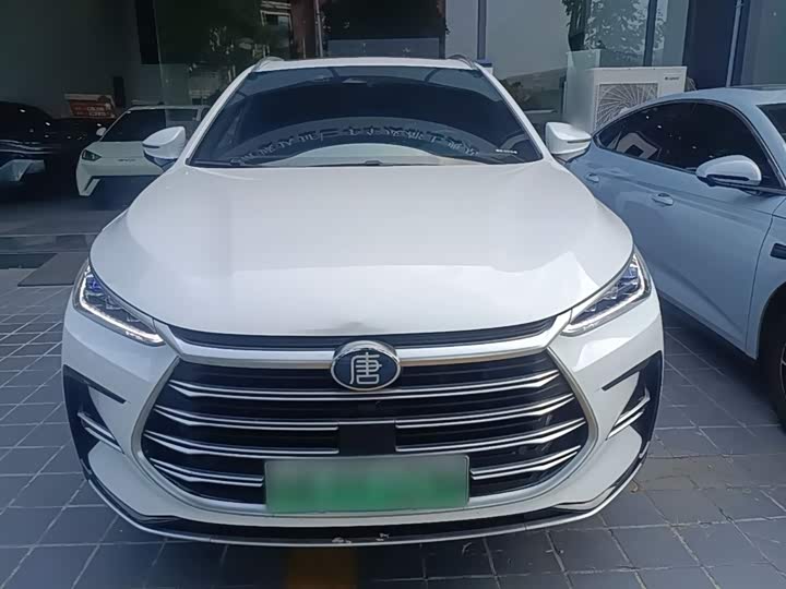 BYD Tang Hybrid/EV, 2021 — фото 3 из 9