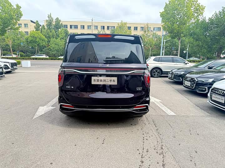 Hongqi HQ9 Hybrid, 2024 — фото 9 из 9