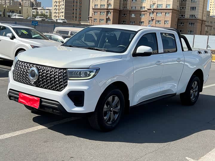 Great Wall Pao, 2023 — купить в Ульяновске под ключ