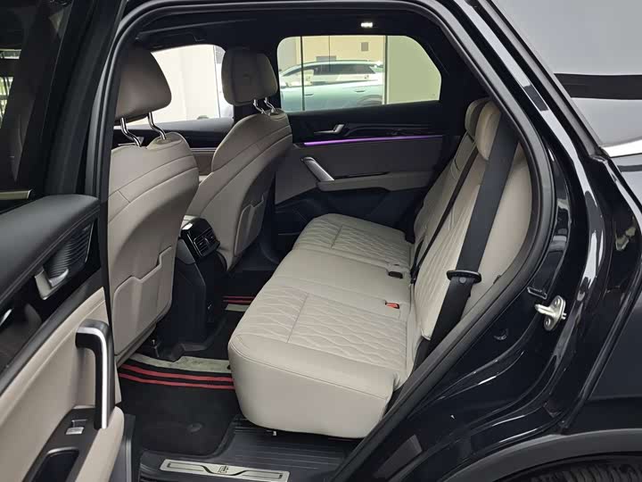 BYD Tang Hybrid/EV, 2024 — фото 4 из 5
