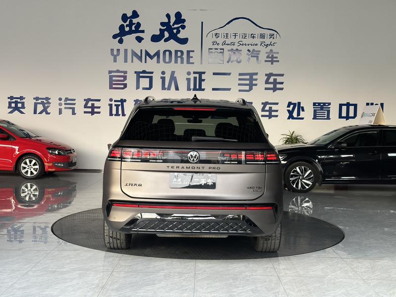 Volkswagen Teramont Pro, 2024 — фото 6 из 12