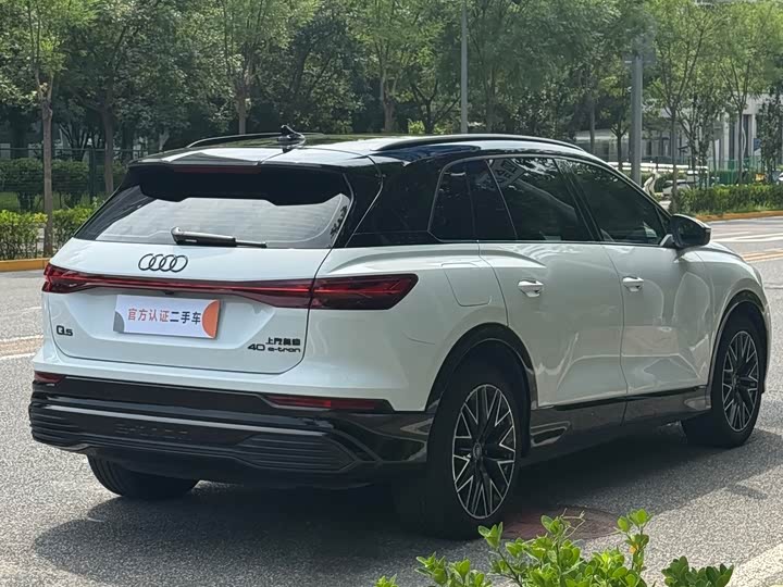 Audi Q5 e-tron, 2023 — фото 6 из 9