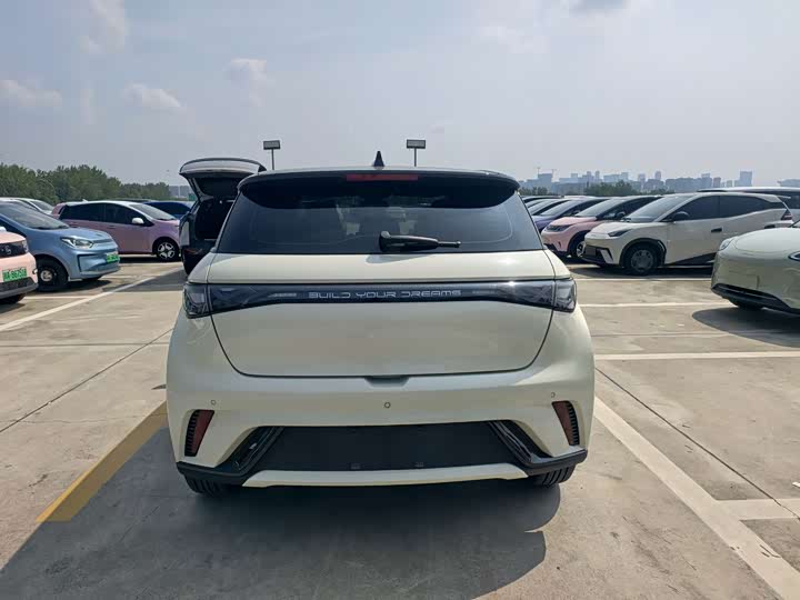BYD Dolphin, 2023 — фото 6 из 9