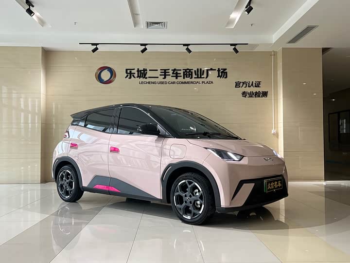 BYD Seagull, 2024 — фото 3 из 9