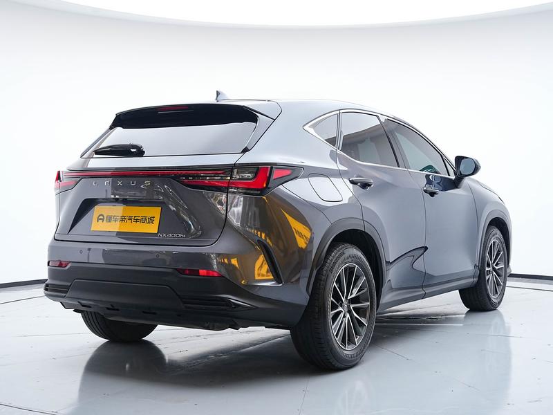Lexus NX Hybrid, 2023 — фото 7 из 12