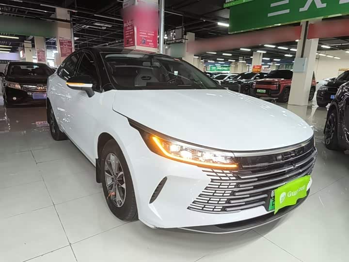 BYD Destroyer 05, 2024 — фото 4 из 9
