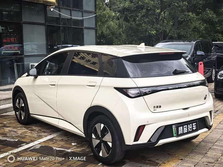 BYD Dolphin, 2023 — фото 5 из 9