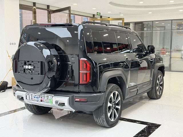 BYD FangChengBao Leopard 5, 2024 — фото 6 из 9