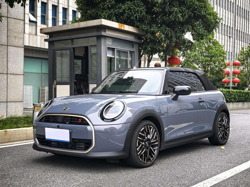 Mini Mini, 2025 — купить в Смоленске под ключ