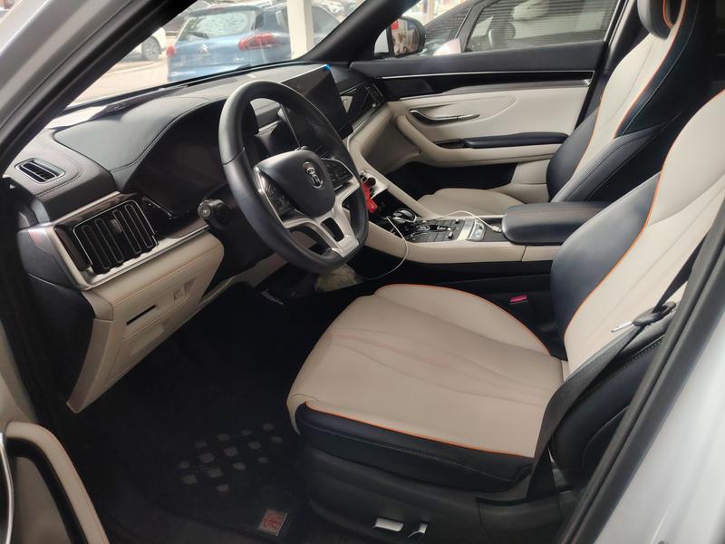 BYD Song Plus Hybrid/EV, 2021 — фото 6 из 8