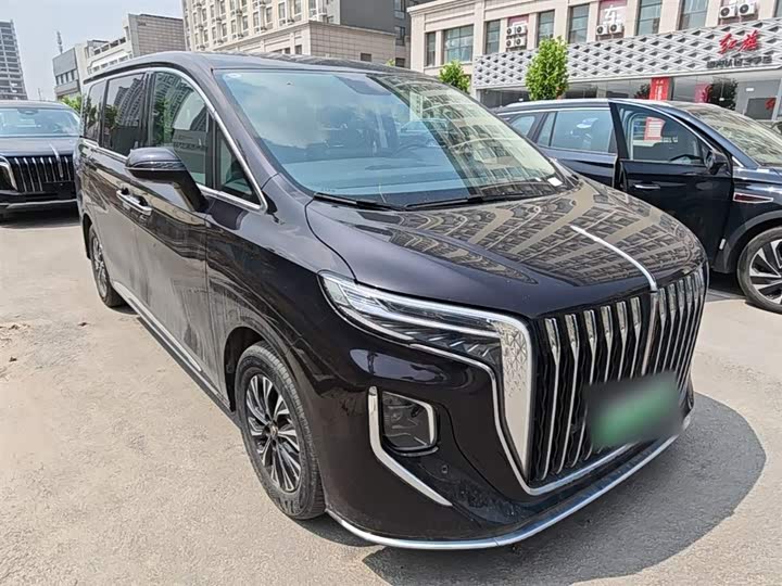 Hongqi HQ9 Hybrid, 2024 — фото 4 из 9