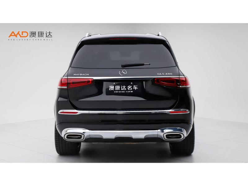 Mercedes-Benz Maybach GLS, 2022 — фото 3 из 10