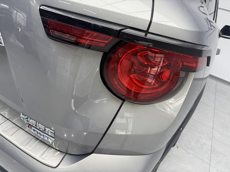 Haval H-Dog Hybrid, 2023 — фото 5 из 12