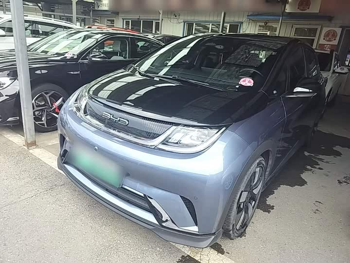 BYD Dolphin, 2023 — купить в Иванове под ключ