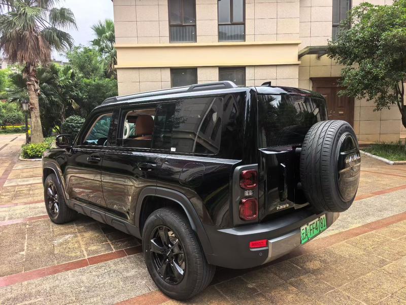 Haval Raptor Hybrid, 2024 — фото 4 из 10