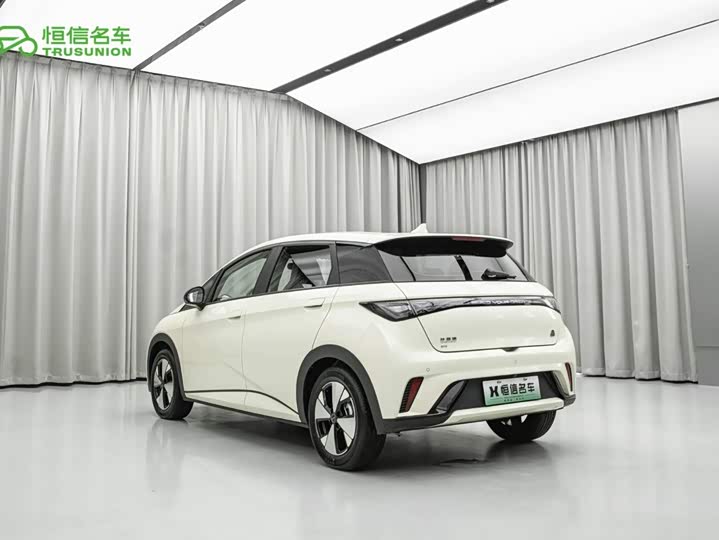 BYD Dolphin, 2023 — фото 7 из 9