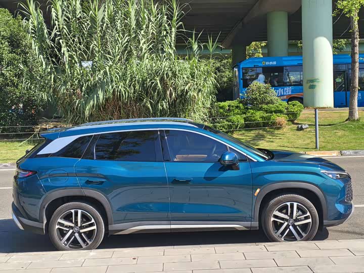 BYD Song L DM-i Hybrid, 2024 — фото 8 из 9