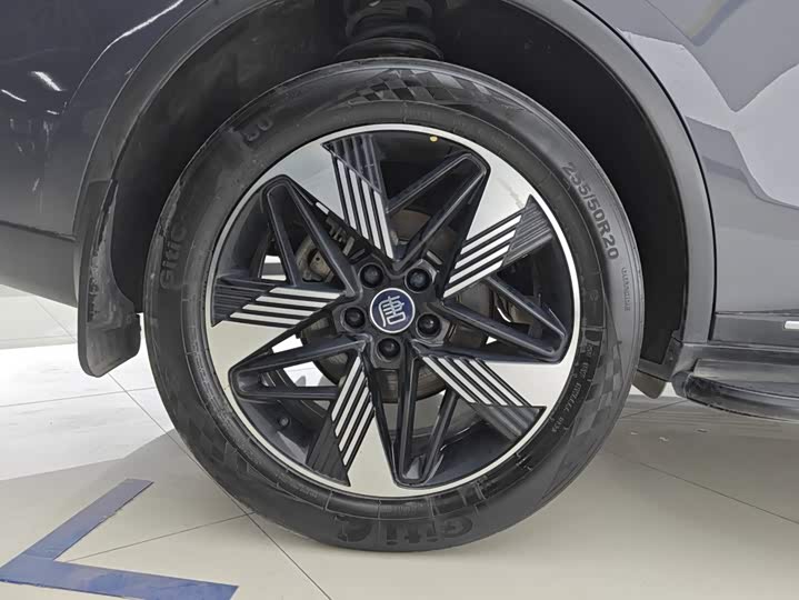 BYD Tang Hybrid/EV, 2023 — фото 6 из 9